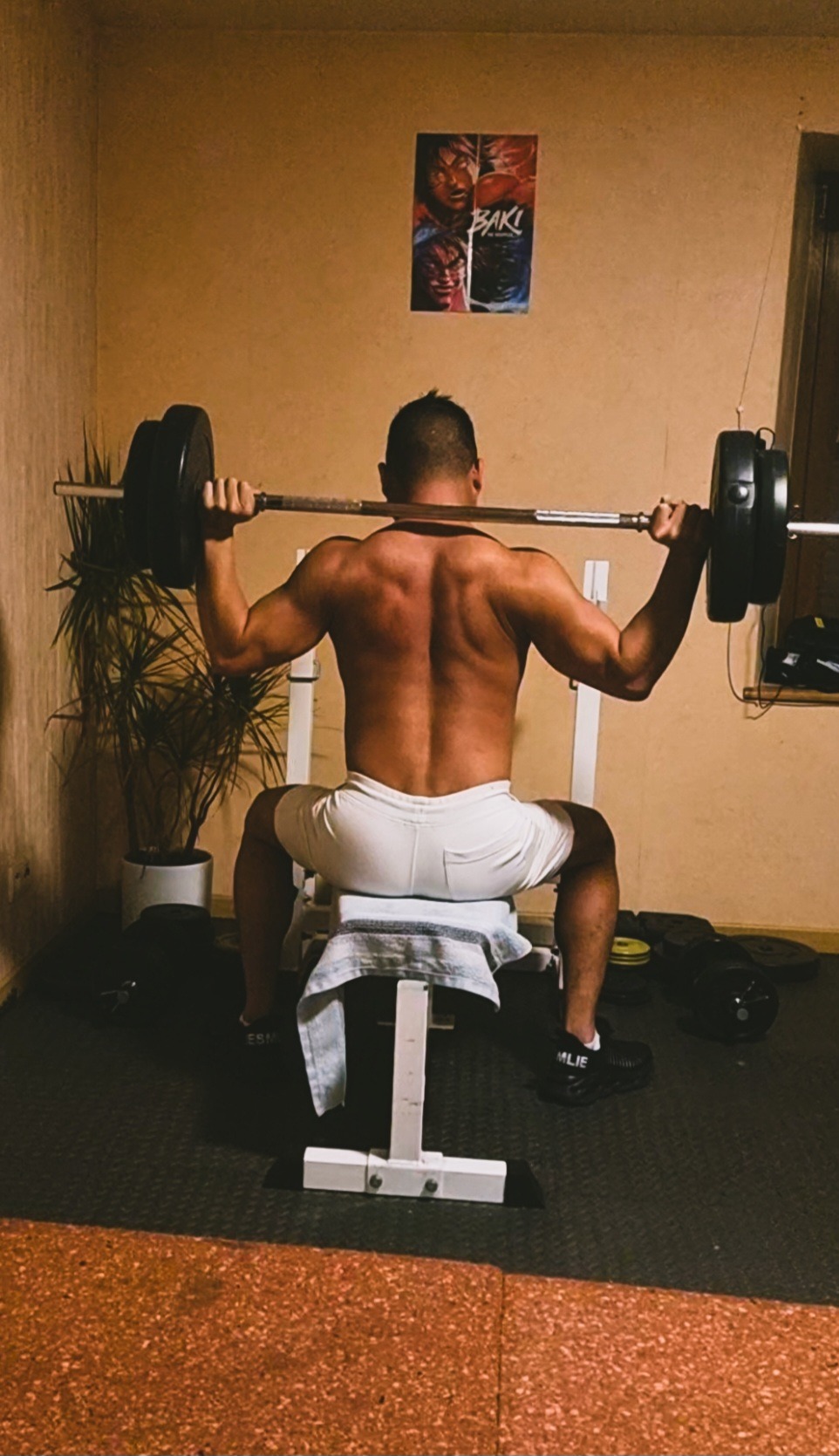 Profilo di Seyf-eddine