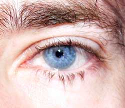 Profilo di Fernandez