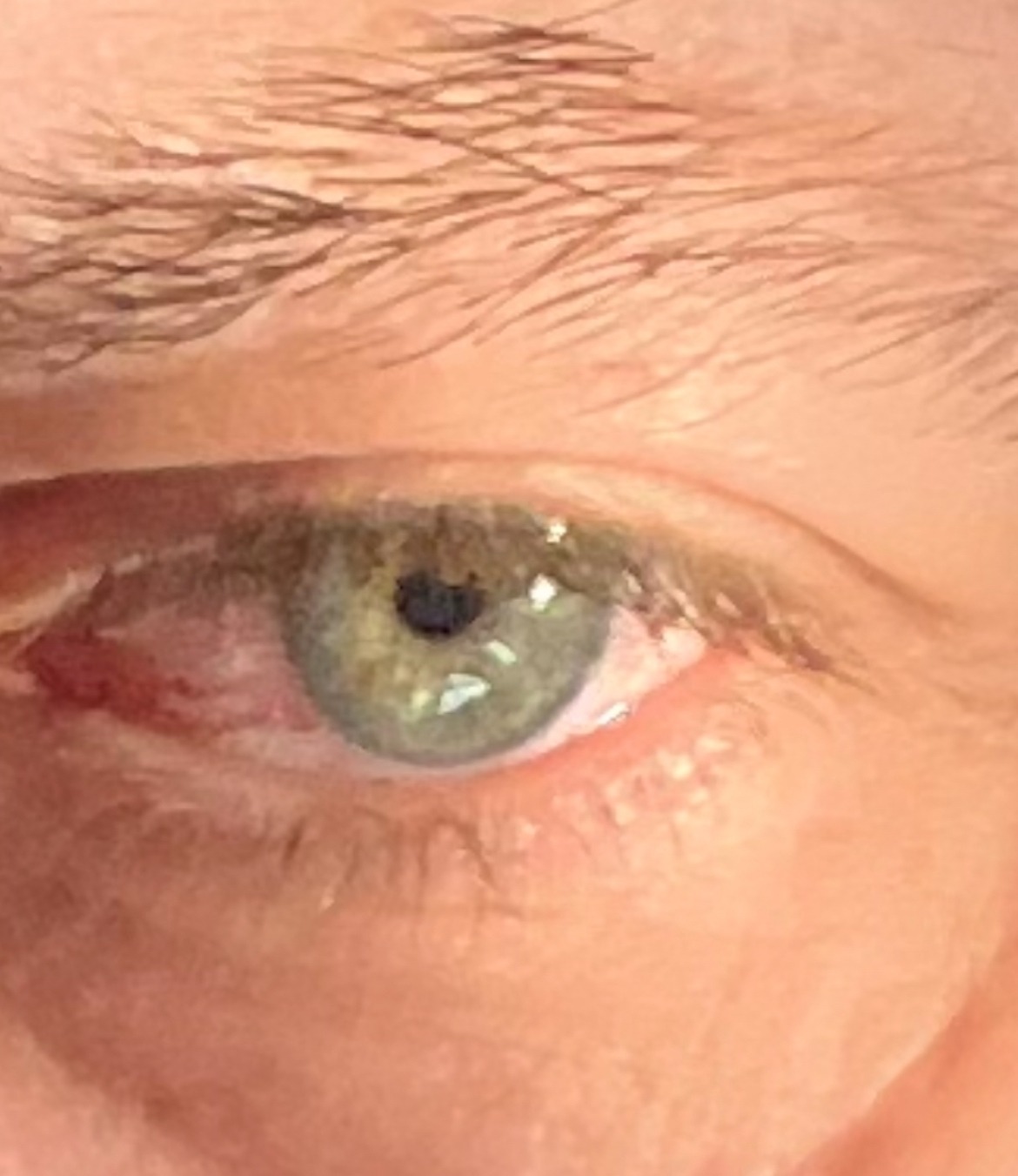 Profilo di Soulaymen