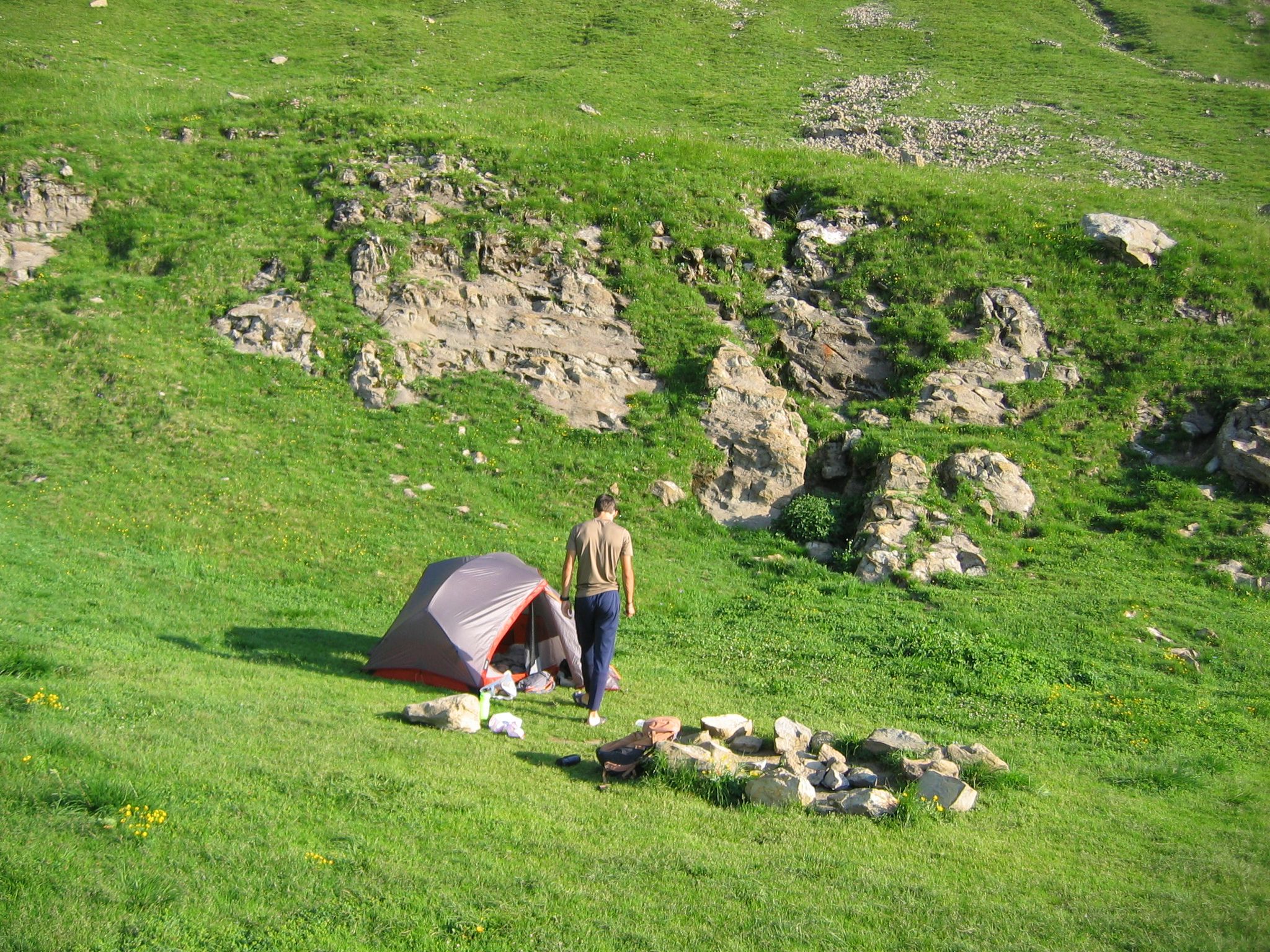 Profilo di Aleksandar