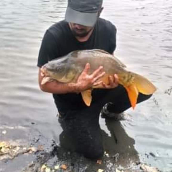 Profilo di Hubert, 38 anni, Cerco Trombamico a Brondello